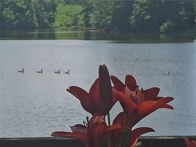 2382 Merrymount Drive, Suwanee, GA 30024