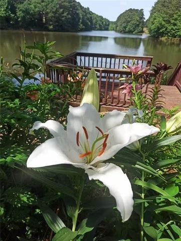 2382 Merrymount Drive, Suwanee, GA 30024