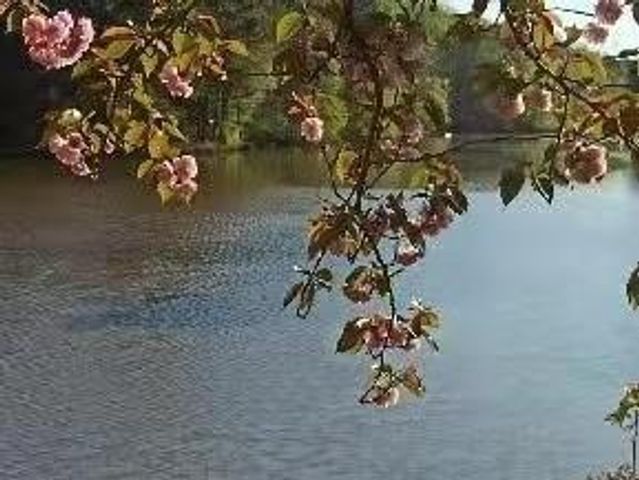 2382 Merrymount Drive, Suwanee, GA 30024