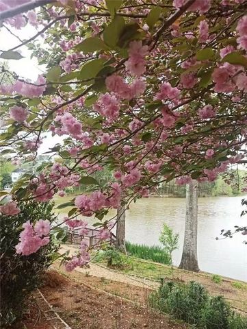 2382 Merrymount Drive, Suwanee, GA 30024