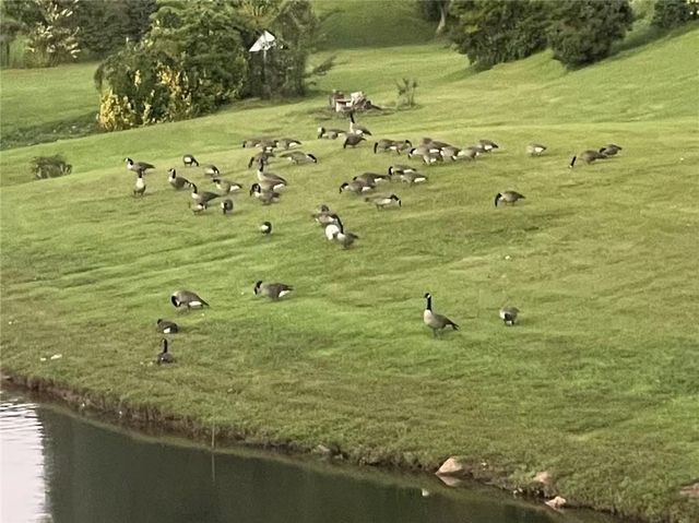 2382 Merrymount Drive, Suwanee, GA 30024