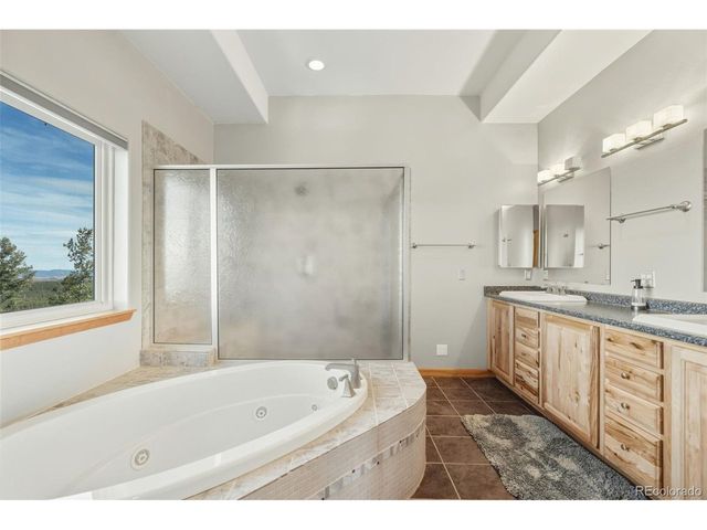 76 Ute Creek Dr, Florissant, CO 80816