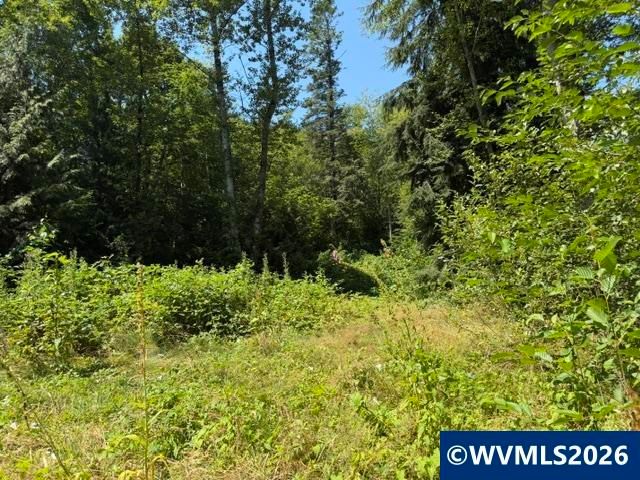38266 E Knieriem Rd, Corbett, OR 97019