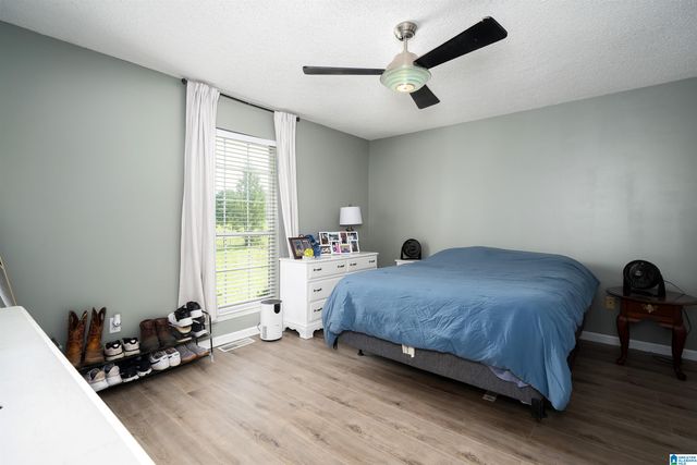 4650 JIM GOGGANS ROAD, Dora, AL 35062