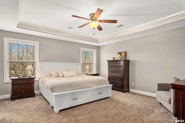 346 Shaggybark Trail, Morton, IL 61550