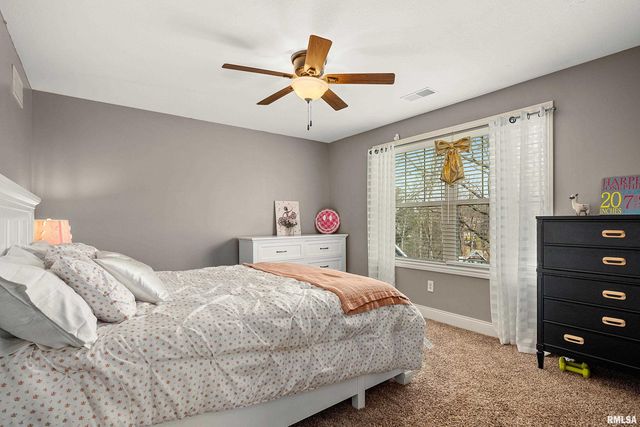 346 Shaggybark Trail, Morton, IL 61550