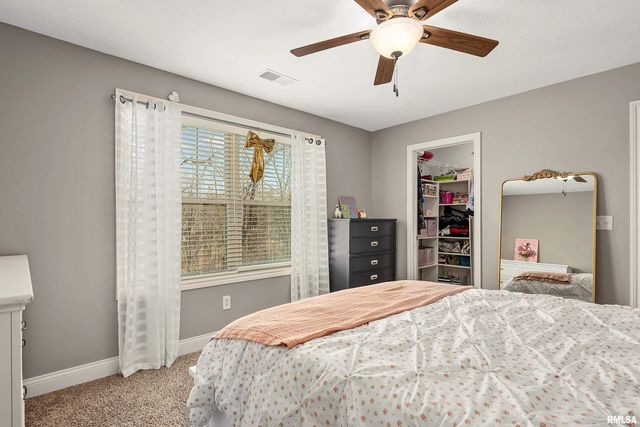 346 Shaggybark Trail, Morton, IL 61550