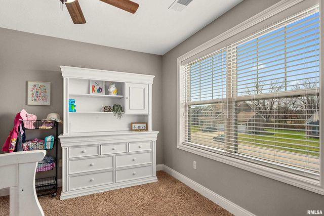 346 Shaggybark Trail, Morton, IL 61550