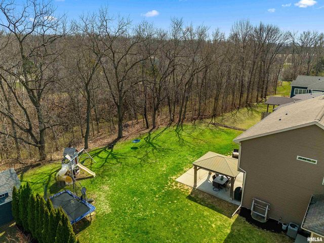 346 Shaggybark Trail, Morton, IL 61550