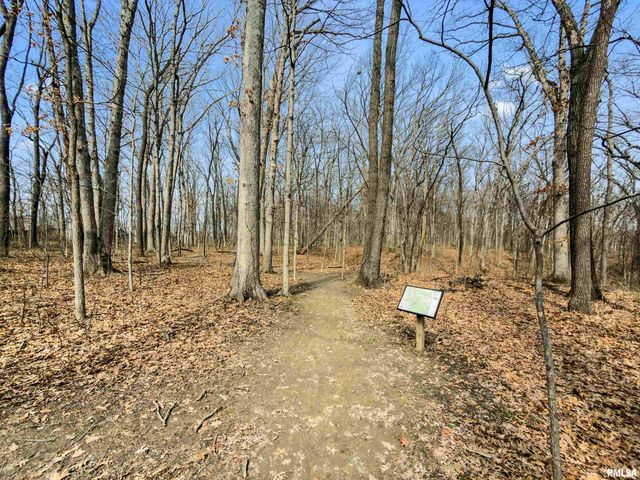 346 Shaggybark Trail, Morton, IL 61550