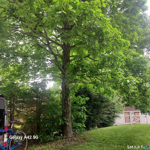 111 Boston Street, Torrington, CT 06790