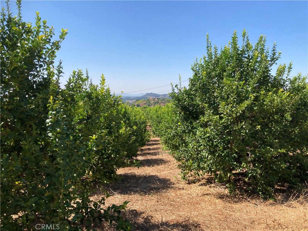 Image 10 of property listing at 39 Carancho Road, Temecula, CA 92590