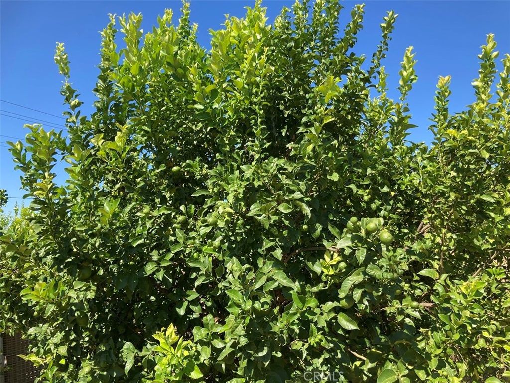 Image 5 of property listing at 39 Carancho Road, Temecula, CA 92590