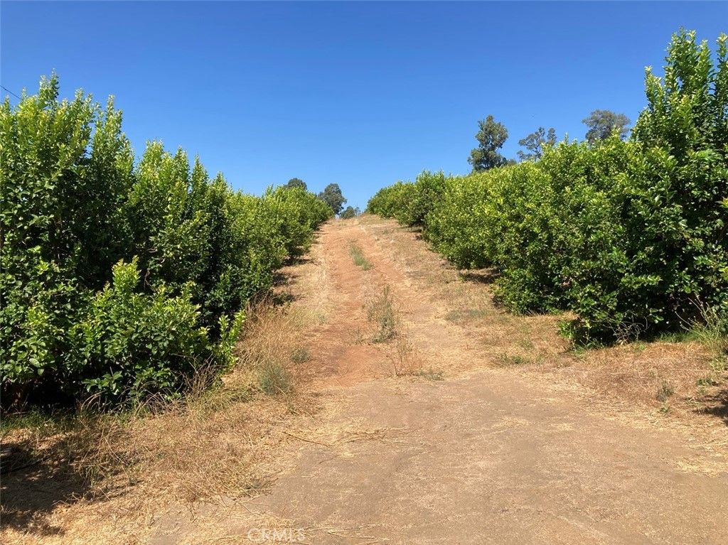 Image 6 of property listing at 39 Carancho Road, Temecula, CA 92590