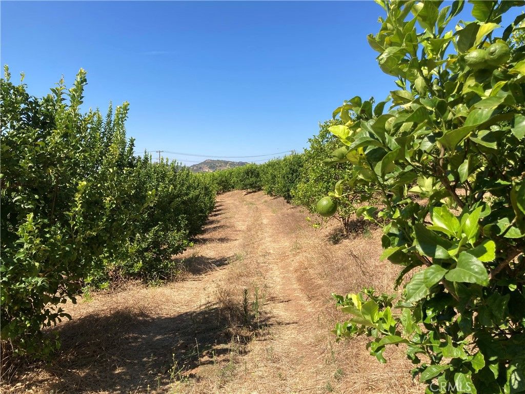 Image 9 of property listing at 39 Carancho Road, Temecula, CA 92590