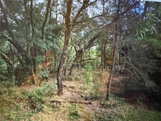 0 NE 117TH AVE AVENUE, Fort Mc Coy, FL 32134