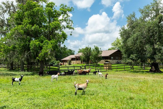 4821 County Road 288, Angleton, TX 77515