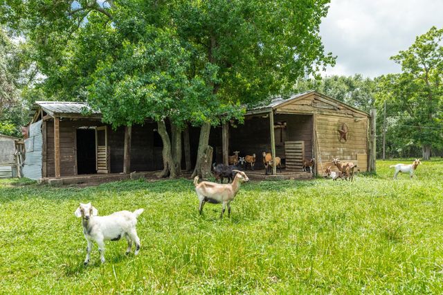 4821 County Road 288, Angleton, TX 77515