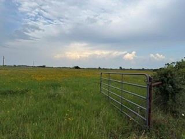 1240 Crooked Road, Cat Spring, TX 78933