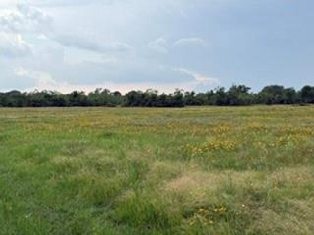 1240 Crooked Road, Cat Spring, TX 78933