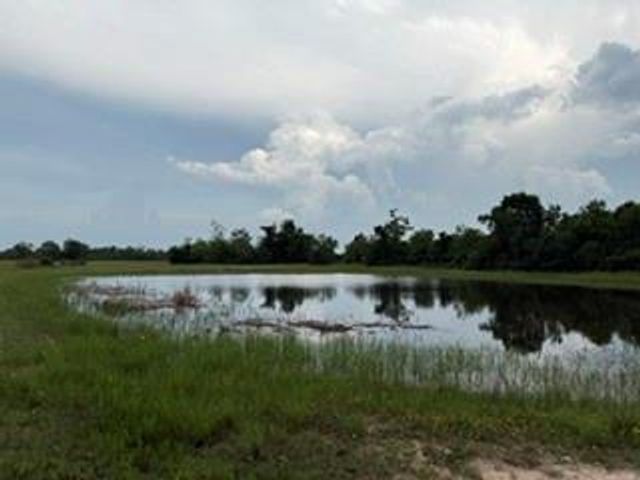 1240 Crooked Road, Cat Spring, TX 78933