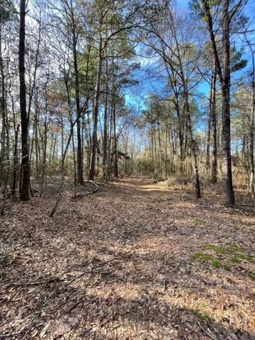 TBD Meekins Road, Cleveland, TX 77328