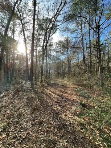 TBD Meekins Road, Cleveland, TX 77328