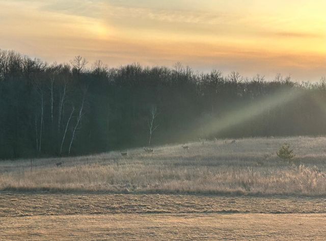 606 Venture Lane NE, Alexandria, MN 56308