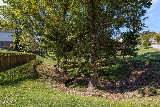 209 Glen Oaks Drive, Gray, TN 37615