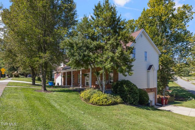 209 Glen Oaks Drive, Gray, TN 37615