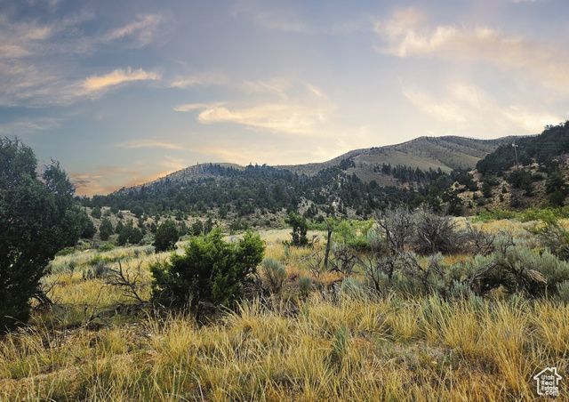 10286 S 40750 W, Fruitland, UT 84027