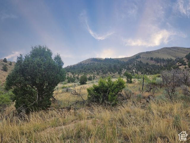 10286 S 40750 W, Fruitland, UT 84027