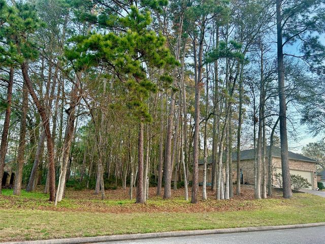 901 Longmire Road 51, Conroe, TX 77304