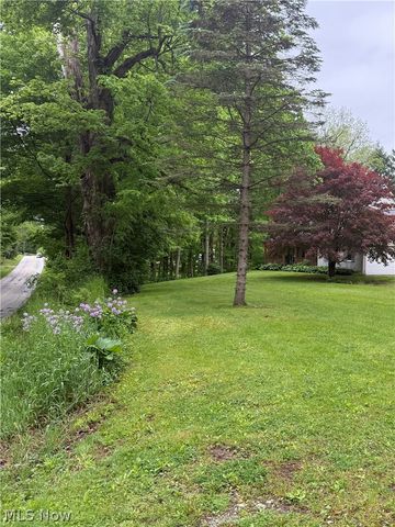 11165 Peck Road, Mantua, OH 44255