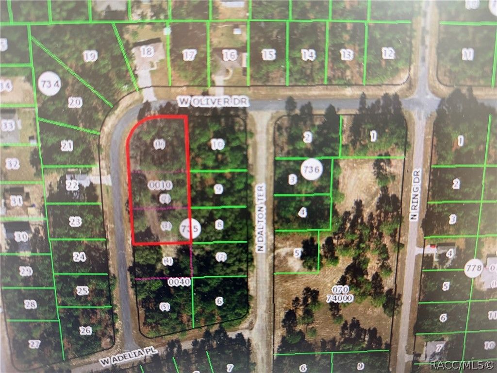 1930 W Oliver Drive, Citrus Springs, FL 34434