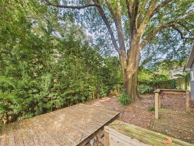 2013 DONNELLY PLACE, Mount Dora, FL 32757