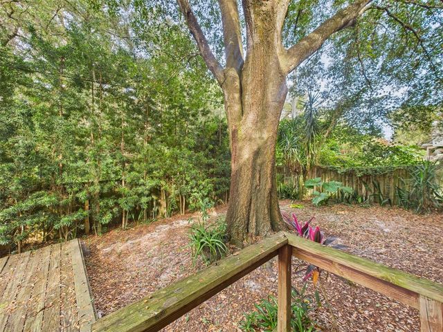 2013 DONNELLY PLACE, Mount Dora, FL 32757