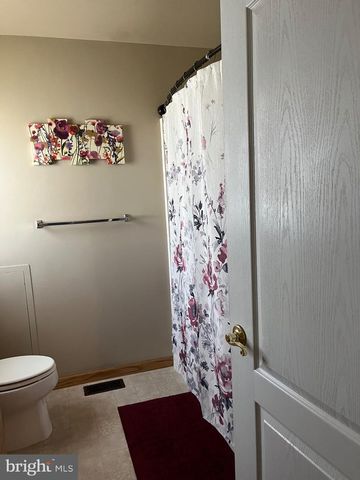 3843 DRESSLER RIDGE RD, Mount Pleasant Mills, PA 17853