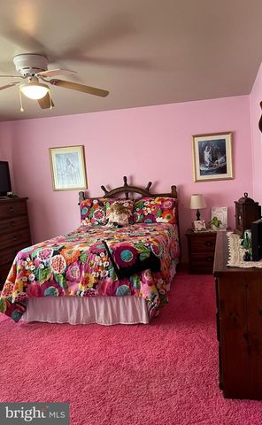 3843 DRESSLER RIDGE RD, Mount Pleasant Mills, PA 17853