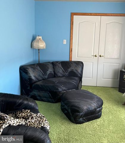 3843 DRESSLER RIDGE RD, Mount Pleasant Mills, PA 17853