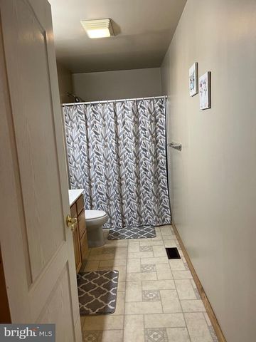 3843 DRESSLER RIDGE RD, Mount Pleasant Mills, PA 17853