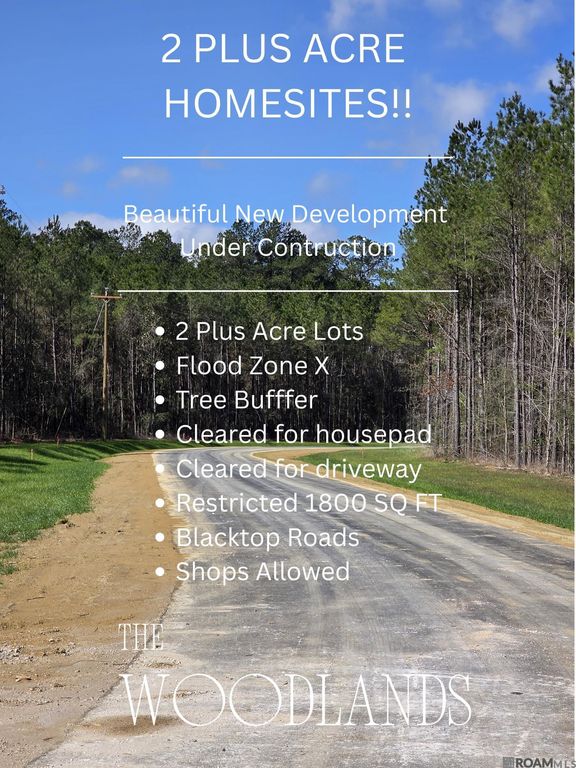 Lot 38 Copper Pass, Livingston, LA 70754