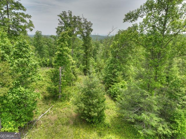 LOT 1 Hidden Acres 1, Blue Ridge, GA 30513