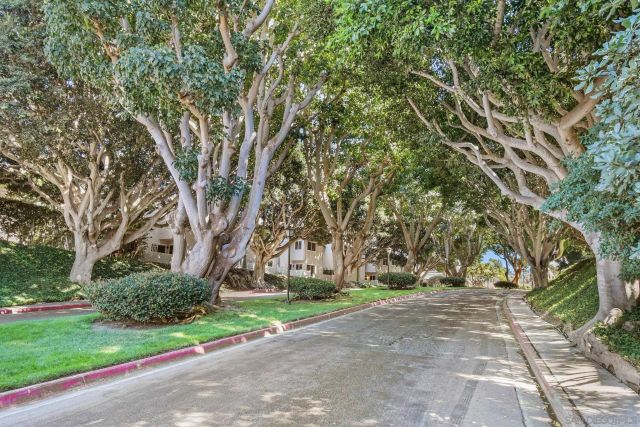 4061 Caminito Dehesa, San Diego, CA 92107