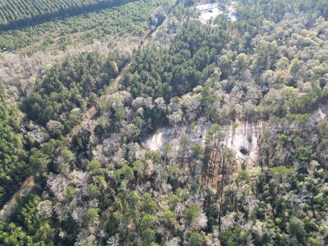 Lot 3 Livingston Farms Lane, Livingston, LA 70754