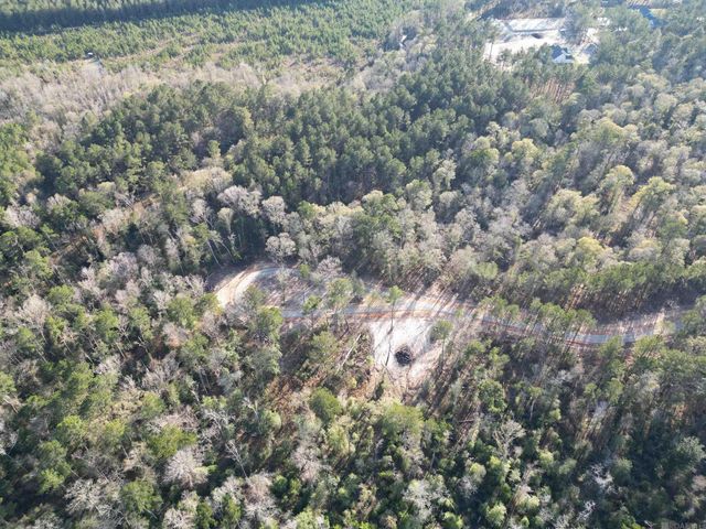 Lot 3 Livingston Farms Lane, Livingston, LA 70754