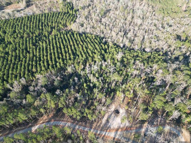 Lot 3 Livingston Farms Lane, Livingston, LA 70754