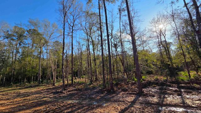Lot 3 Livingston Farms Lane, Livingston, LA 70754