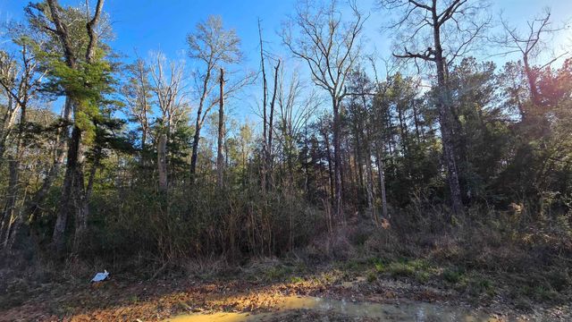 Lot 3 Livingston Farms Lane, Livingston, LA 70754