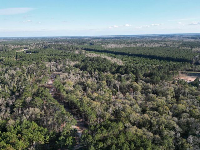Lot 3 Livingston Farms Lane, Livingston, LA 70754